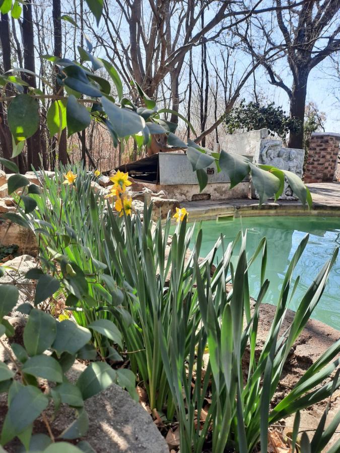 Arcadia Luxury Guesthouse Kroonstad Εξωτερικό φωτογραφία